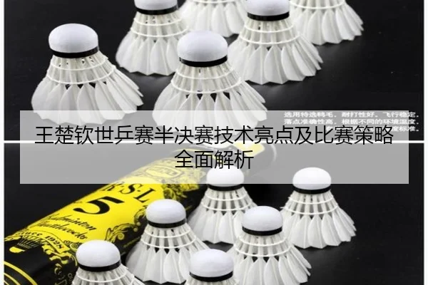 王楚钦世乒赛半决赛技术亮点及比赛策略全面解析（B）